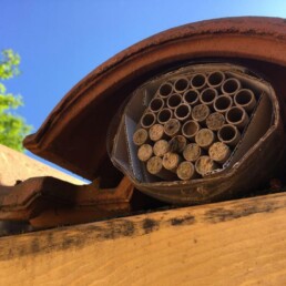 Nichoir artisanal tubes-papier sous toiture