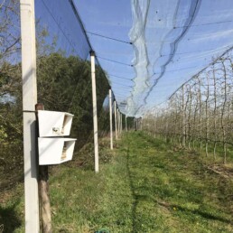 Abris et nichoirs en culture de pommier sous filets