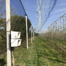 Abris et nichoirs en culture de pommier sous filets