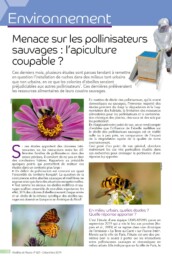 Menace sur les pollinisateurs sauvages : l'apiculture coupable ?