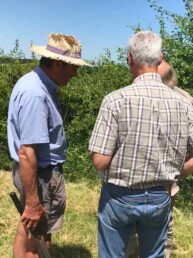 Appui technique auprès des arboriculteur