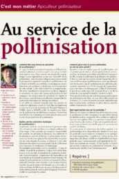 Au service de la pollinisation